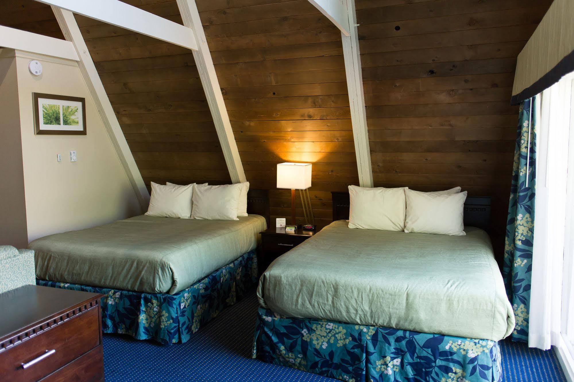 Inn At Deep Creek オークランド エクステリア 写真