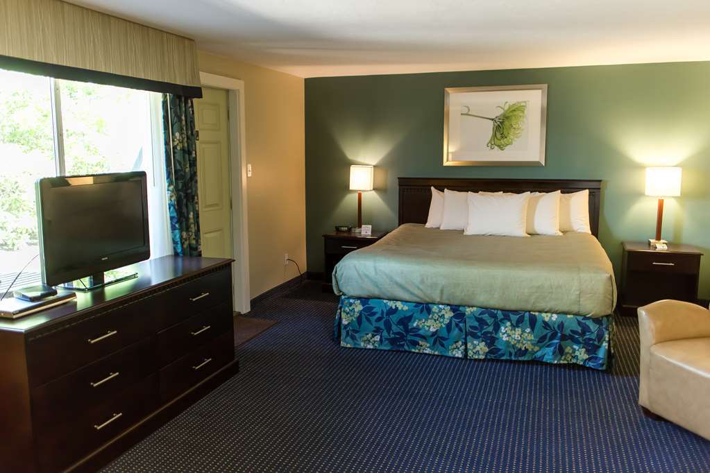 Inn At Deep Creek オークランド 部屋 写真