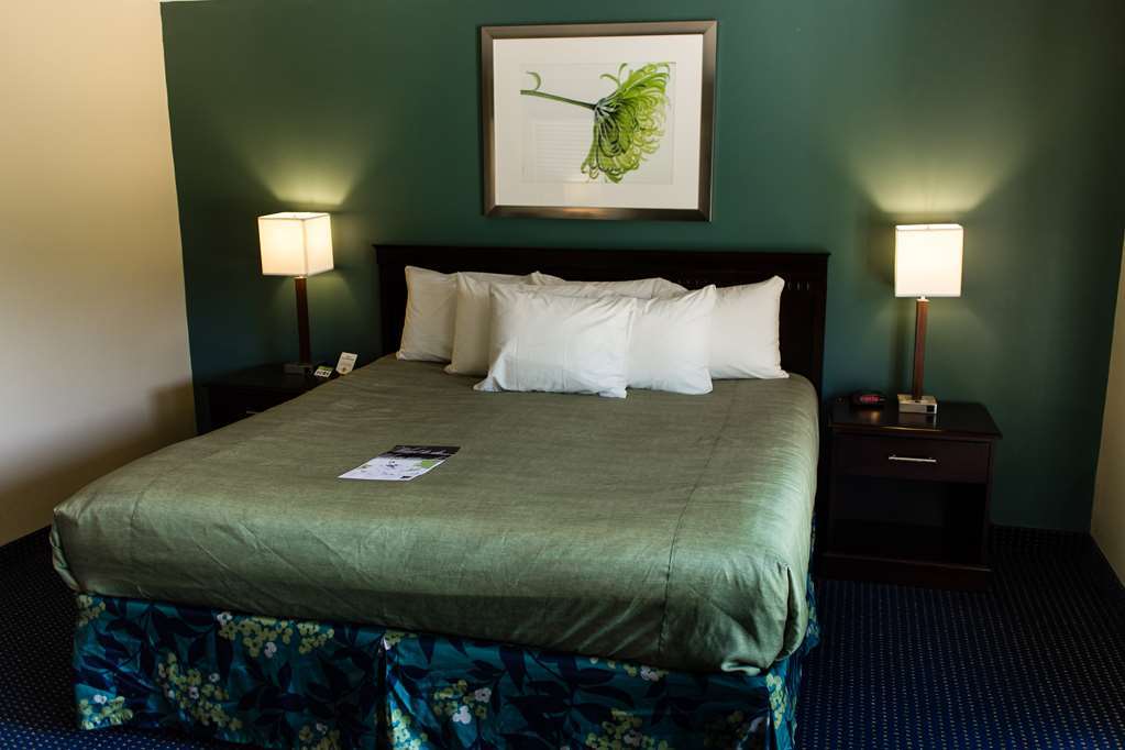 Inn At Deep Creek オークランド 部屋 写真